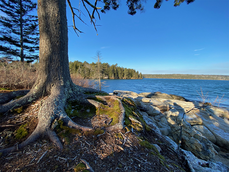 Naturalist Sarah Gladu will lead two guided hikes at Plummer Point Preserve in South Bristol on Saturday, Feb. 11. (Photo courtesy Coastal Rivers Conservation Trust)