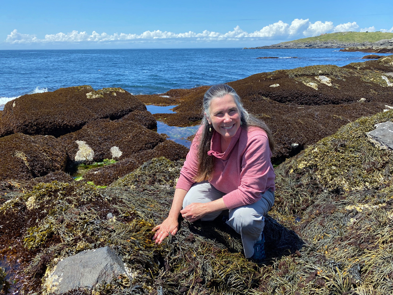 Heather Leslie, professor of marine science and director of the Darling Marine Center at the University of Maine. (Photo courtesy Jeremy Rich)