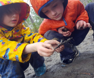 Coastal Rivers Salt Bay Farm offers many opportunities for nature exploration and outdoor adventures. (Photo courtesy Coastal Rivers Conservation Trust)