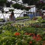 Medomak Valley Plant Sale Continues Class Tradition