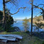 Guided Hike at Tracy Shore April 8