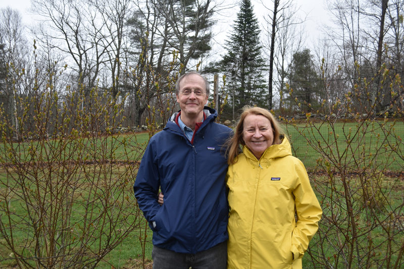 Scott and Sue Simpson, owners of Waldoberry Farm in Waldoboro, stand with their certified-organic Aronia berry bushes. The couple uses Aronia and other specialty berries in health-focused products developed and made by Sue Simpson. (Elizabeth Walztoni photo)