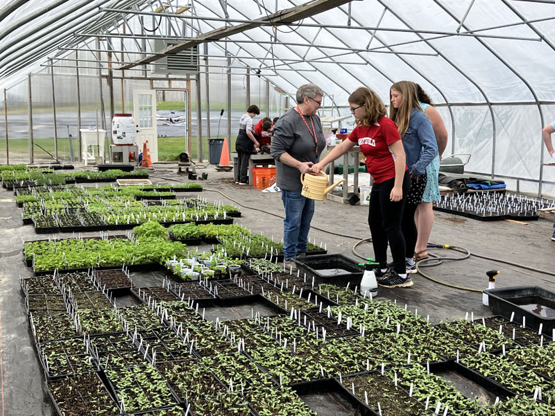 Whitefield Elementary School science and social studies teacher Karen McCormick hands off the sprinkling can to seventh grader Audrey Tibbetts to water the plants, which will be sold at Whitefield Elementary's seedling sale on Friday, May 19 and Saturday, May 20. (Meira Bienstock photo)