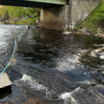 Waldoboro Receives Funds to Count Alewife Population