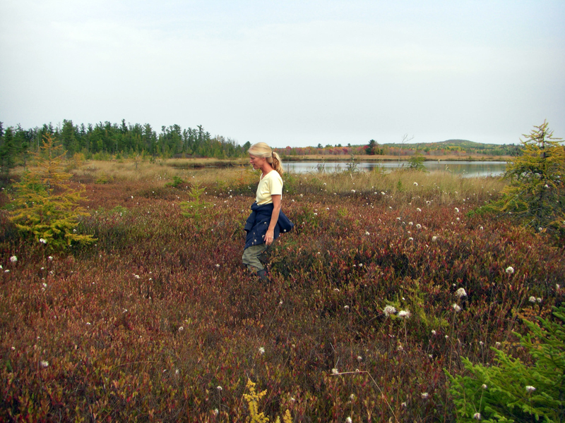 Janet McMahon walks in the Sheepscot Bog. (Courtesy photo)