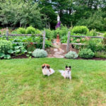The Gardens of Lincoln County to Showcase Regional Gardens