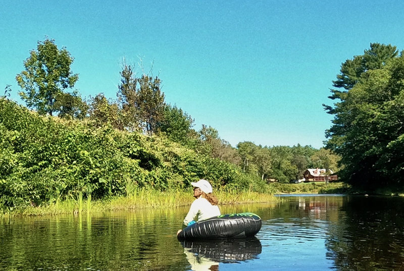 Suki Flanagan observes knotweed from her tube on the Sheepscot River. (Photo courtesy Midcoast Conservancy)