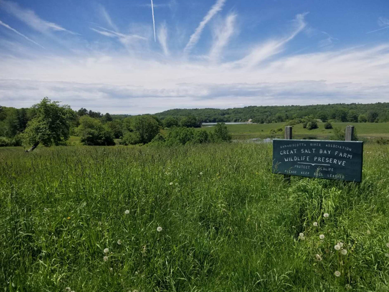 Second Annual Celebration at Coastal Rivers’ Salt Bay Farm