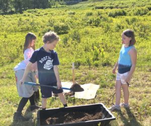 Edgecomb Eddy School students prepare for their fruit tree orchard. (Courtesy photo)