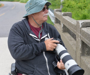 Ed Donnelly keeps a sharp eye out for osprey in Damariscotta Mills. (Paula Roberts photo)