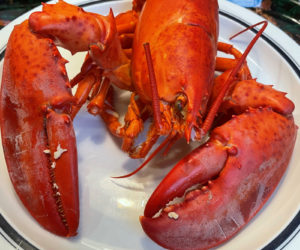Cooked lobster (Photo courtesy I. Winicov Harrington)