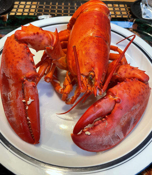 Cooked lobster (Photo courtesy I. Winicov Harrington)