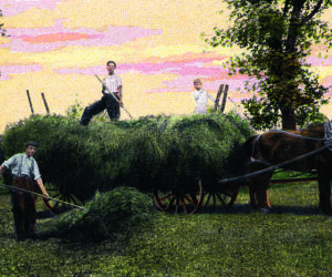 Pitching and loading hay the old-fashioned way, one pitchfork full at a time. This postcard was sent June 2, 1915. The old saying was that June hay was the best hay. (Photo courtesy Calvin Dodge)