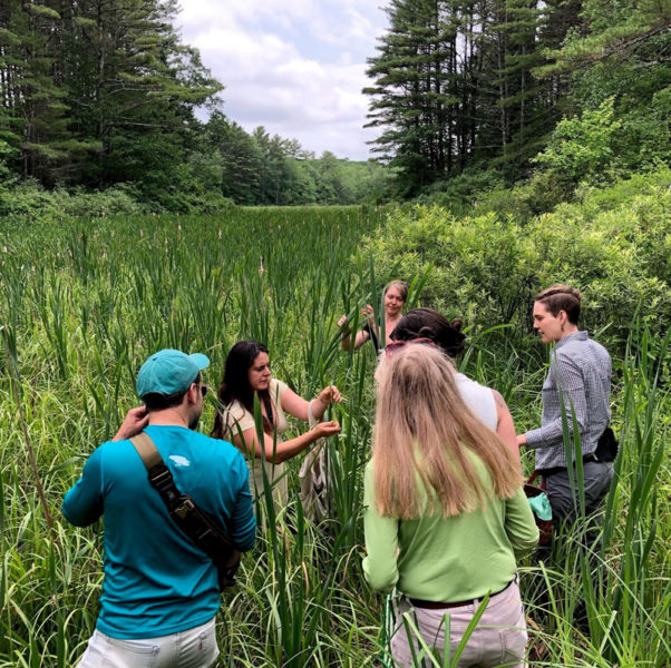 Rachel Alexandrou leads a foraging class. (Photo courtesy Veggies to Table)