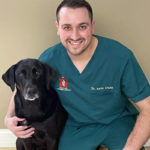 Medomak Veterinary Services Welcomes New Vet