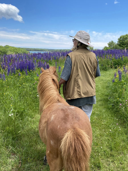 Captain Sparkle and Mrs. Dunn on the lupine path (Photo courtesy Katherine M. Dunn)