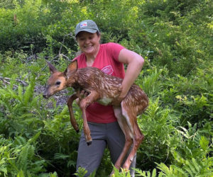 Columnist Jess Breithaupt and a baby fawn, rescued at Veggies to Table (Photo courtesy Healthy Lincoln County)