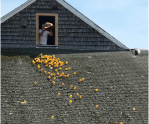 The Annual Rubber Duckie Race will be this Sunday, August 13, from 3 to 4 p.m. at the Mill at Pemaquid Falls. This scene from the 2022 race shows the mill roof before it was historically restored this year. (Photo courtesy Old Bristol Historical Society)