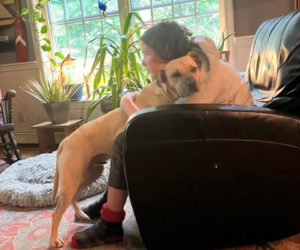 Henry and "hooman" Eli share the love. (Photo courtesy L.D. Porter)