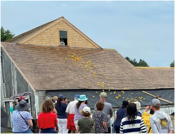 Rubber ducks tumble off the roof of the restored mill at Pemaquid Falls during the Old Bristol Historical Society's Rubber Ducky Race on Sunday, Aug. 13. (Photo courtesy Old Bristol Historical Society)