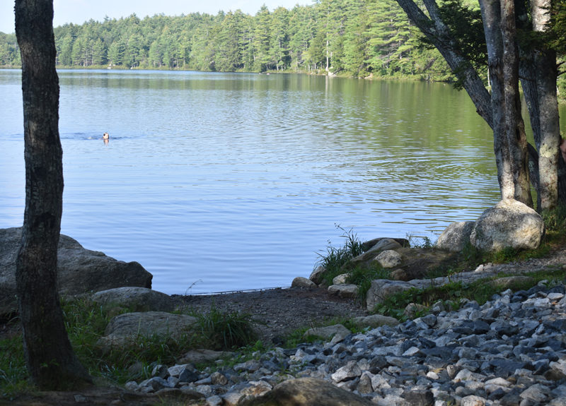 A swimmer crosses Pinkham Pond in Alna on Tuesday, Sept. 5. The Alna Select Board's public comment period for options to address contentious rock material placed on the boat ramp without approval from the Maine Department of Environmental Protection has been extended to a third week. (Elizabeth Walztoni photo)