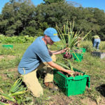 Twin Villages Foodbank Farm Brings in Abundant Harvest