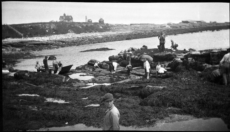 Coal scavenging after the wreck of Willis and Guy. (Photo courtesy Old Bristol Historical Society)