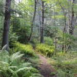 Guided Hike at Crooked Farm Preserve with Coastal Rivers Oct. 20