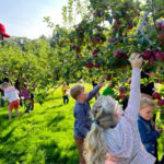 Kindergarten Students Visit Apple Orchard