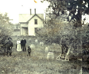 Apple picking in Whitefield (Photo courtesy Whitefield Historical Society)