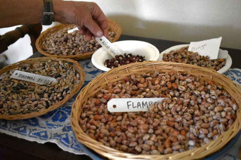 The Mainer Saving the World's Rarest Heirloom Seeds