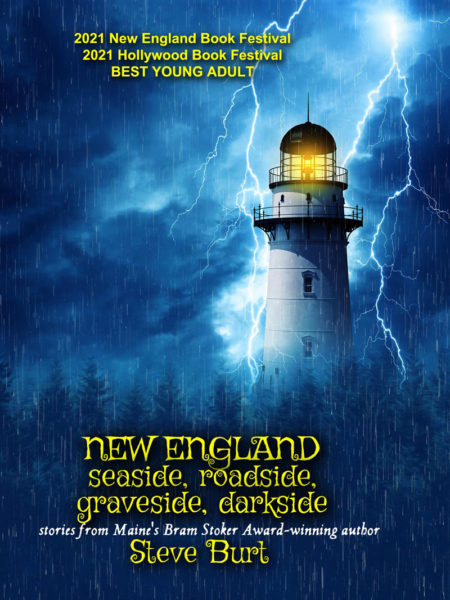 Kindle e-book cover for "New England Seaside, Roadside, Graveside, Darkside," by Steve Burt. (Courtesy photo)