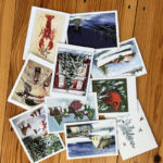 Annual Holiday Card Sale Benefits Miles Memorial Hospital League’s Efforts