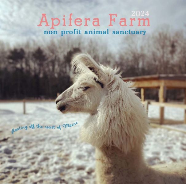 The cover for the 2024 Apifera Farm calendar. (Photo courtesy Katherine Dunn)