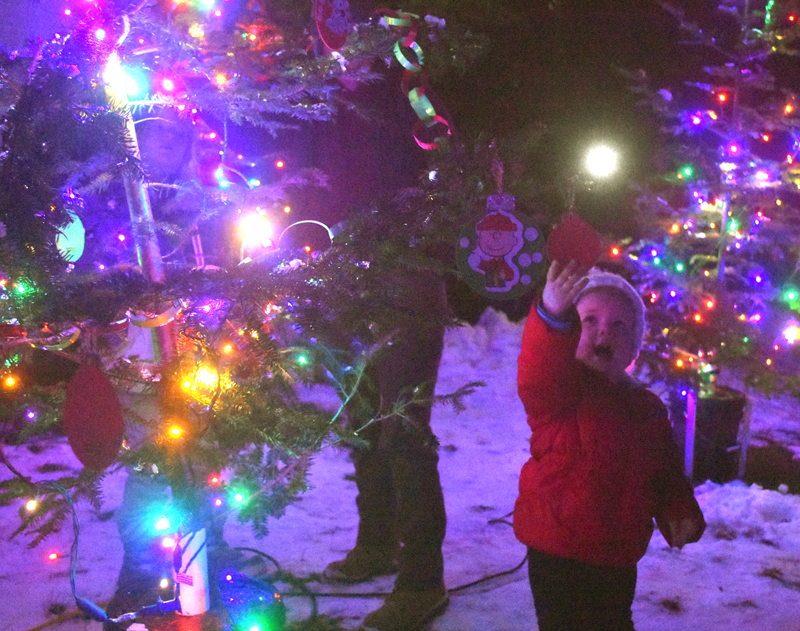 Charlie Brown Christmas Trees Light Up Spirits In The