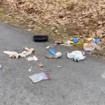 Trash along the driveway that Angela Fagin shares with her husband, Frederick Fagin, in Somerville. An unidentified individual has been spreading garbage on her property since late 2022, Fagin told the Somerville Select Board on Wednesday, Dec. 6. (Photo courtesy Angela Fagin)