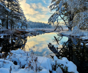 Linda Bailey won the 2023 #LCNme365 photo contest with her photo of Kerr Brook in Jefferson after the first snowfall. Bailey will receive a prize package from Lincoln County Publishing Co. of products featuring her photo, including a 2024 calendar.