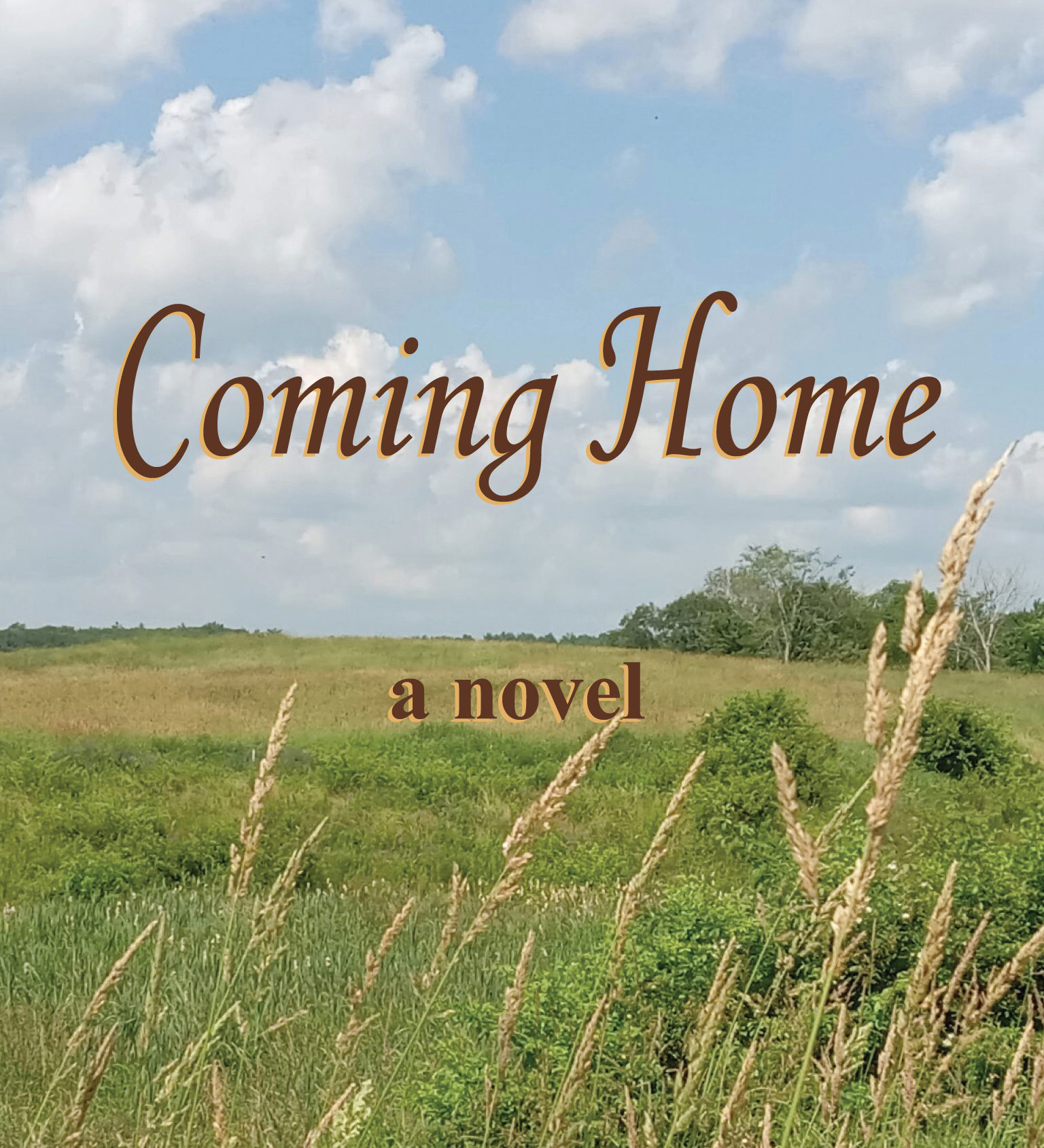 Author Visit at Bremen Library on Jan. 11 The Lincoln County News