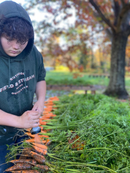 Lincoln Academy IDEAL student Zack Bailey participates in a win-win collaboration with Veggies-to-Table, a grow-to-donate organic farm in Newcastle. (Photo courtesy Erica Berman)