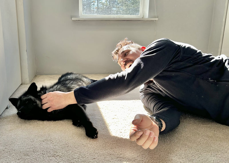 Arnold Konecny pets Danielle Katherina Brann's fox Timber Bear. Brann said that Konecny's love for foxes was what first got her interested in getting one. "They're like a cat and a dog combined," Konecny said on Monday, Feb. 12. (Molly Rains photo)