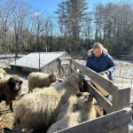 Meet the Farmers Stewarding Agricultural Diversity in Waldoboro