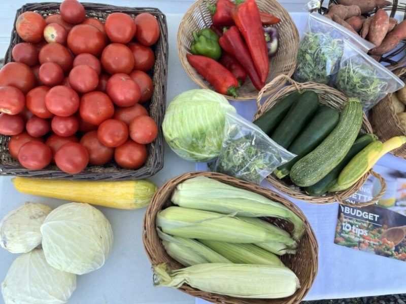 A share table loaded with vegetables from backyard growers in Lincoln County. (Photo courtesy Michaela Stone)