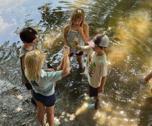 Camp Mummichog campers examine a green crab in a salt marsh. (Photo courtesy Coastal Rivers Conservation Trust)