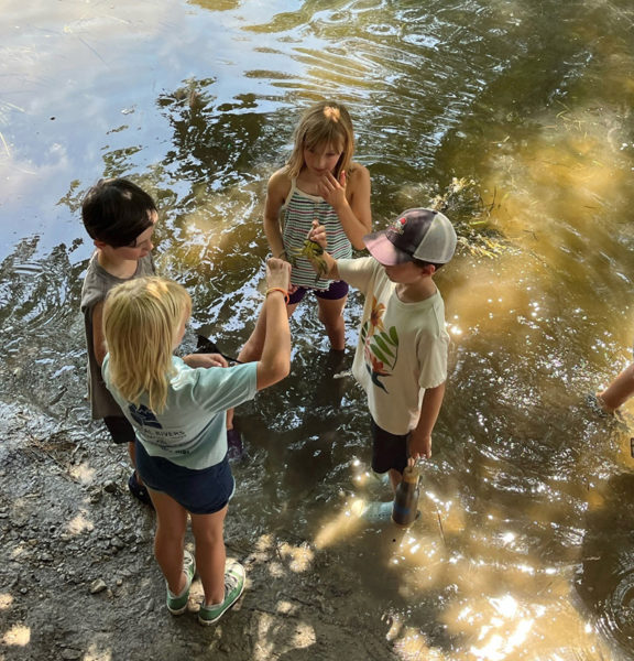 Camp Mummichog campers examine a green crab in a salt marsh. (Photo courtesy Coastal Rivers Conservation Trust)