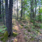 Guided Hike at NORGAL Preserve