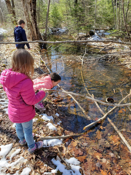 Children explore vernal pools at Hidden Valley Nature Center. (Photo courtesy Midcoast Conservancy)