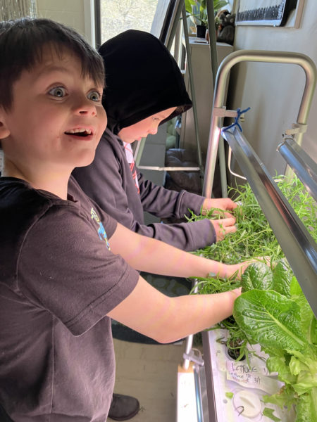 Wiscasset Elementary School students work on the school's hydroponic garden. (Photo courtesy Becky Hallowell)