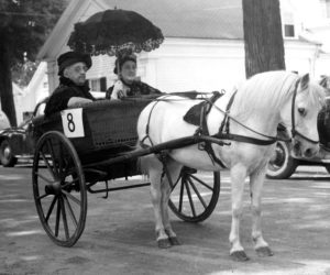 Here is a photo taken on Elm Street with a small but beautiful white horse pulling a wicker two-wheel buggie driven by Mrs. Lawrence Hall and her friend Mrs. Fred Marsh. They took second place in the parade. Both wore old fashioned costumes. (Photo courtesy Calvin Dodge collection)