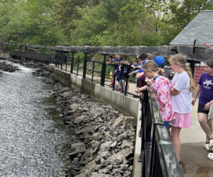 Nobleboro Central School students visit the Damariscotta Mills Fish Ladder on May 22. (Photo courtesy Nobleboro Central School)