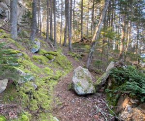 The trails at Tracy Shore in South Bristol feature dramatic rock outcroppings and views of Johns Cove on the Damariscotta River. Coastal Rivers Conservation Trust will host a guided walk at Tracy Shore on Saturday, May 4. (Photo courtesy Coastal Rivers Conservation Trust)